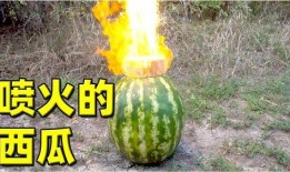 热门大瓜,热门大瓜背后的惊人真相